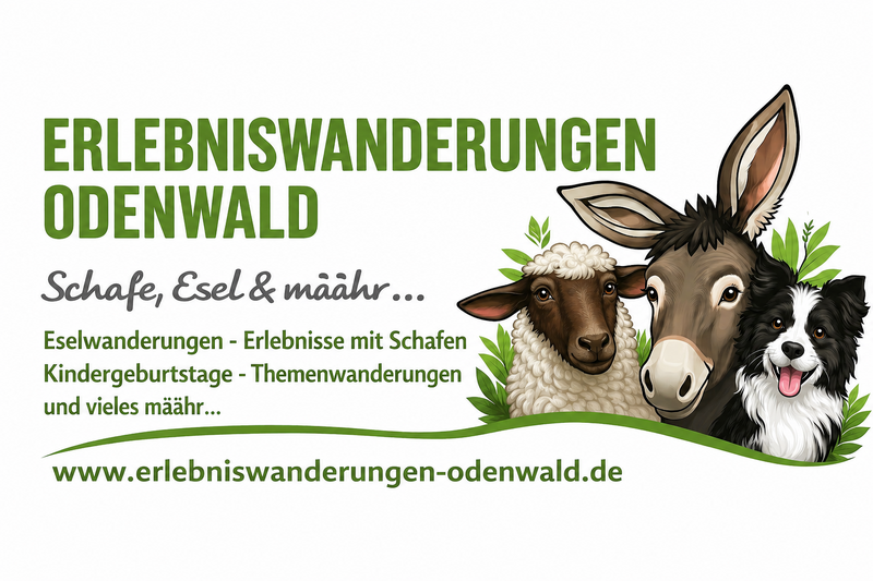 Erlebniswanderungen Odenwald