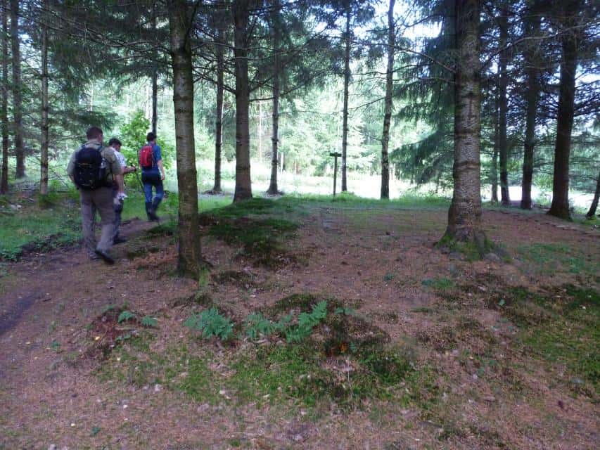 Odenwald-Limes: Römischer Wachturm "In den Dickhecken"