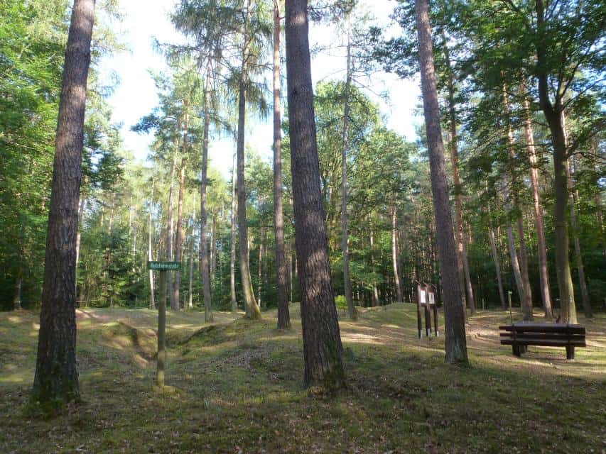 Odenwald-Limes: Römischer Wachturm "Im Lützelbacher Bannholz"