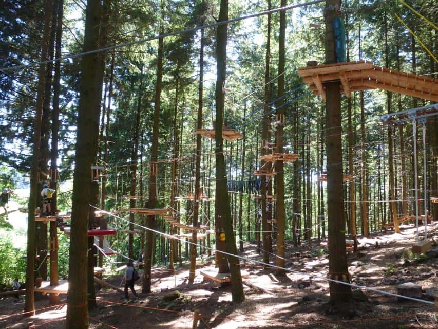 Kletterwald Wald-Michelbach