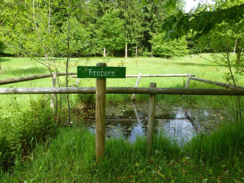 Odenwald-Limes: Kastell Würzberg mit Römerbad