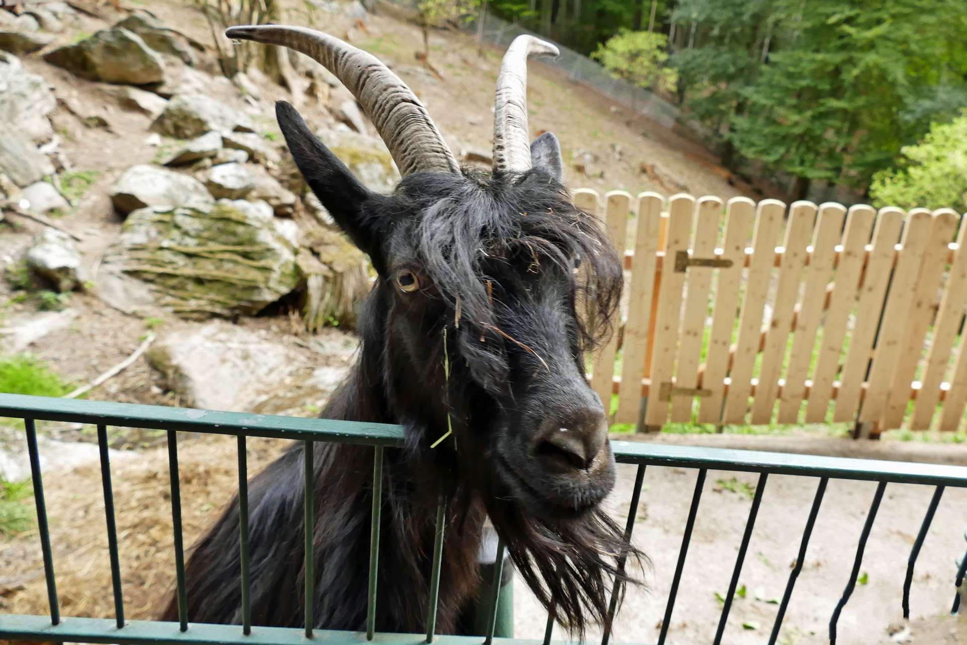 Bergtierpark Fürth-Erlenbach