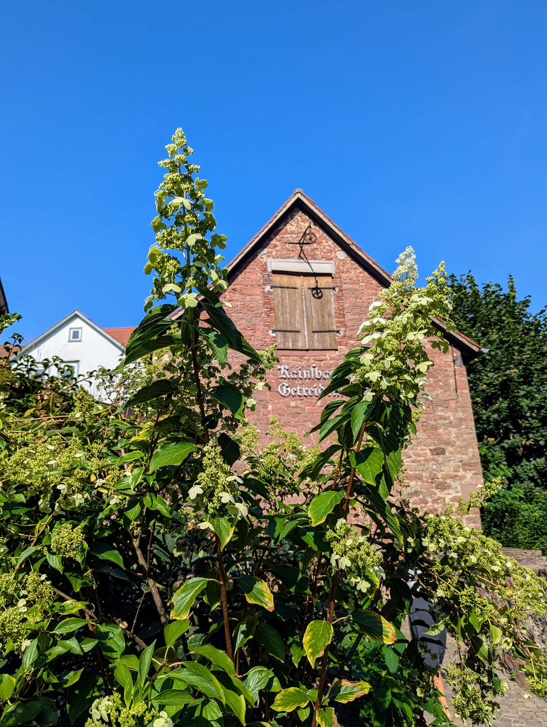 Kainsbacher Mühle