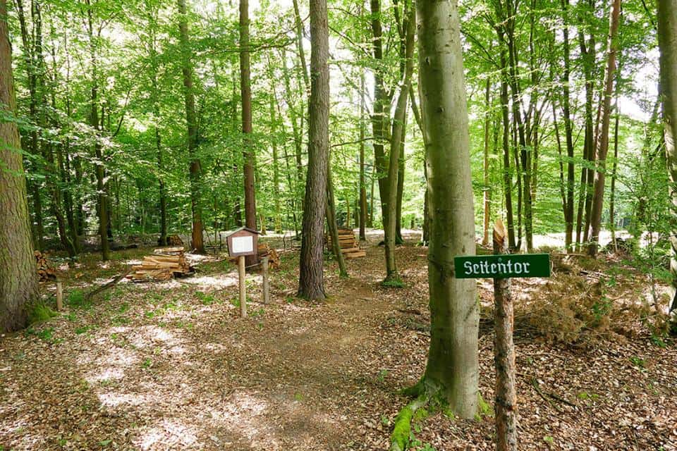 Odenwald-Limes: Numeruskastell Lützelbach