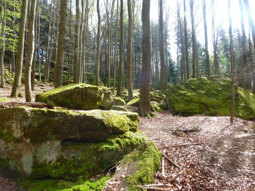 Ebersberger Felsenmeer
