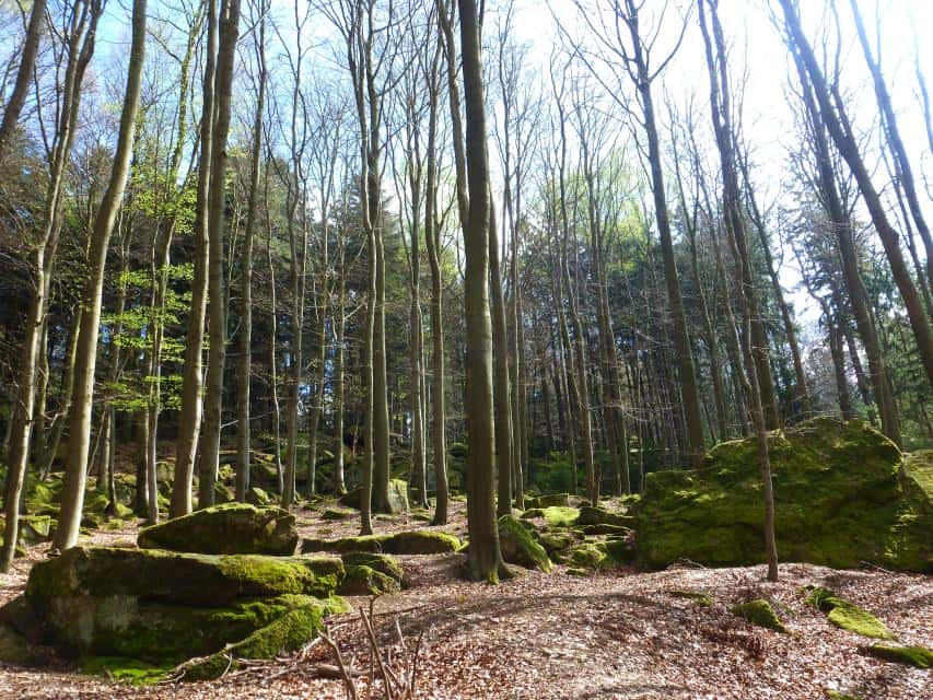 Ebersberger Felsenmeer