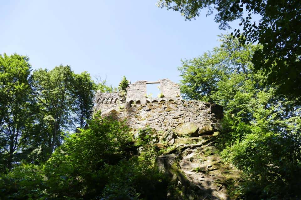 Englischer Garten zu Eulbach