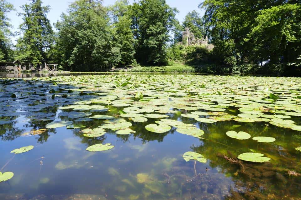 Englischer Garten zu Eulbach
