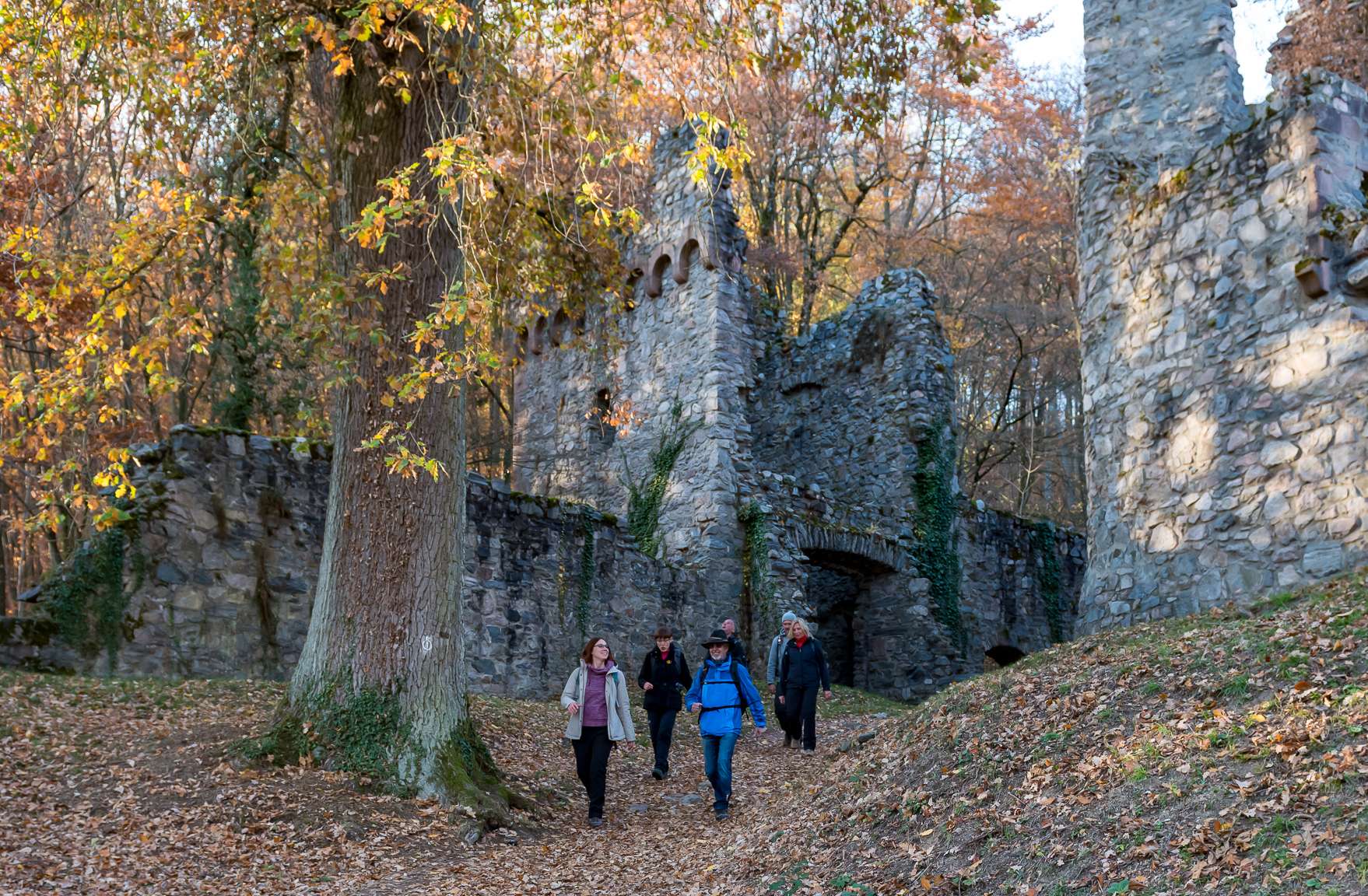 Burg Rodenstein