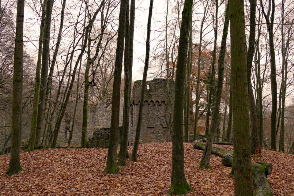 Burg Rodenstein