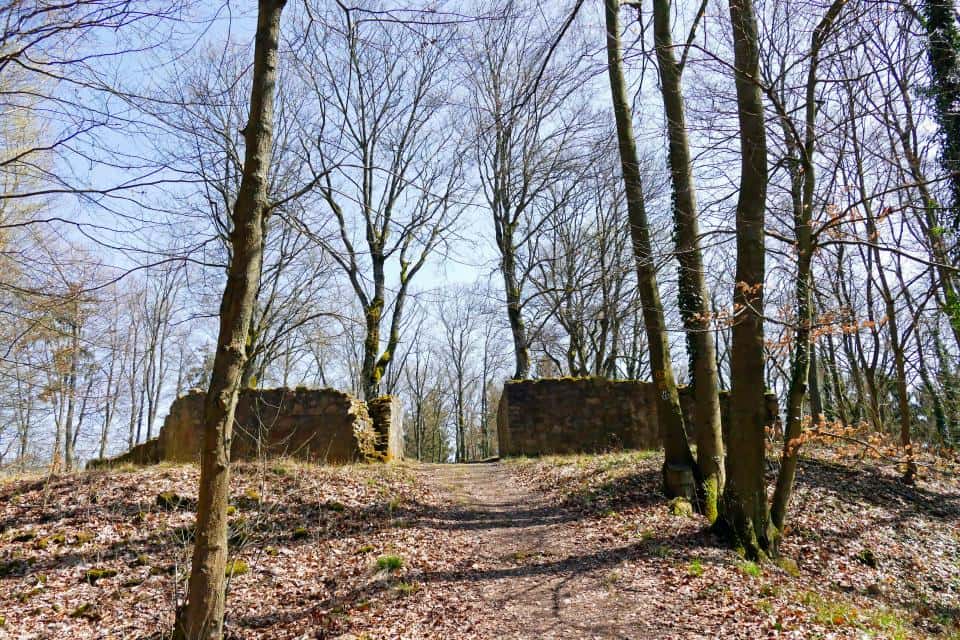 Burg Schnellerts