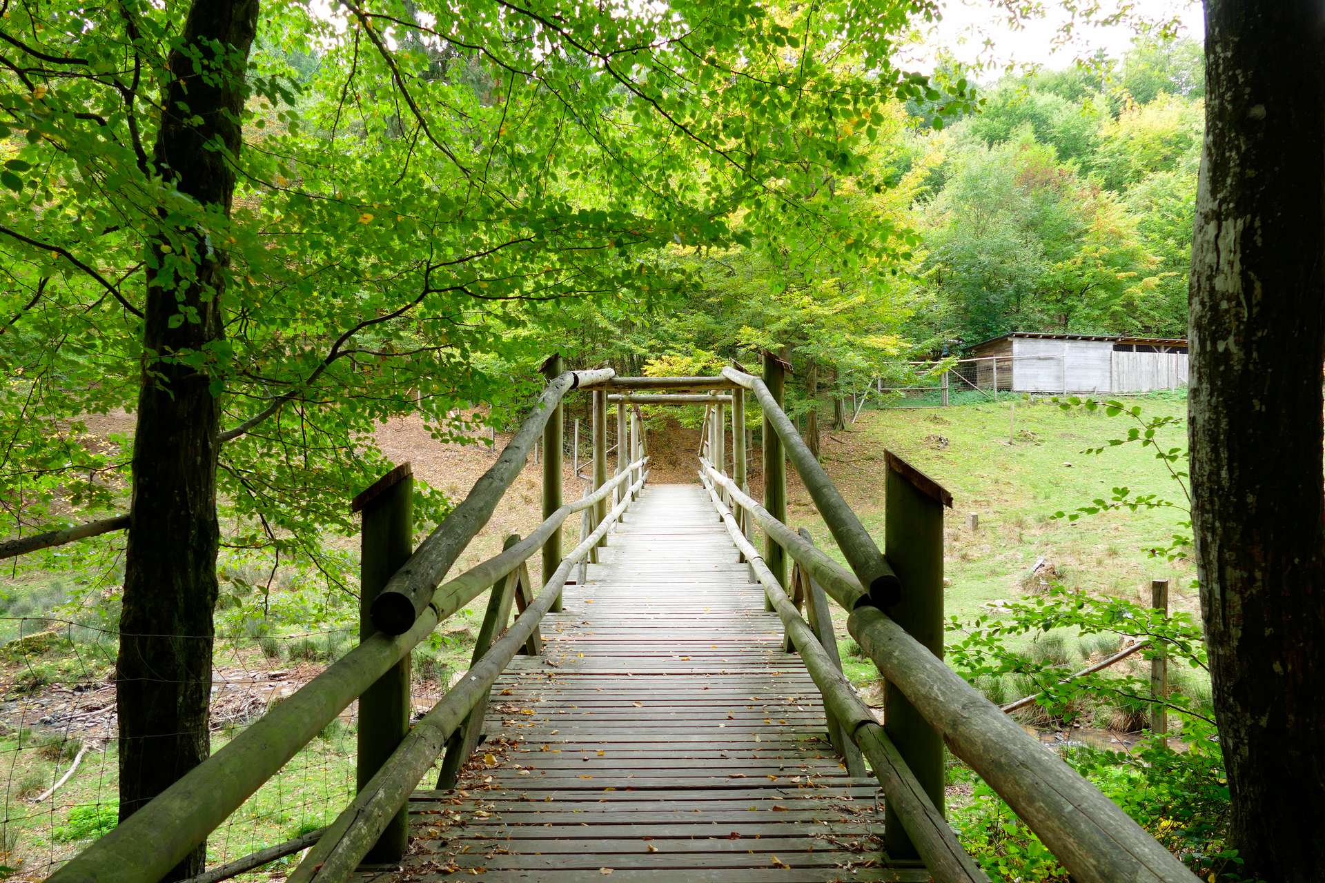 Wildpark Brudergrund