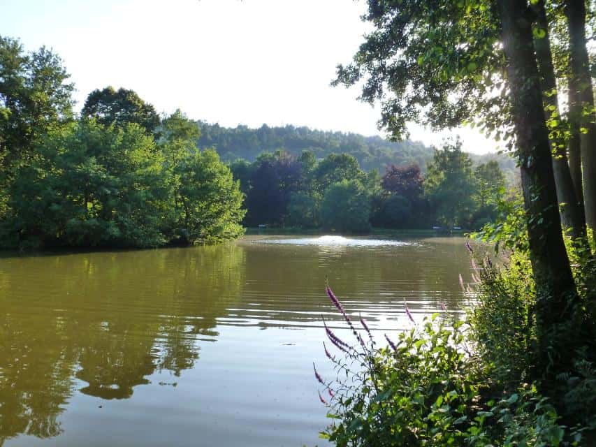 Kurpark Bad König