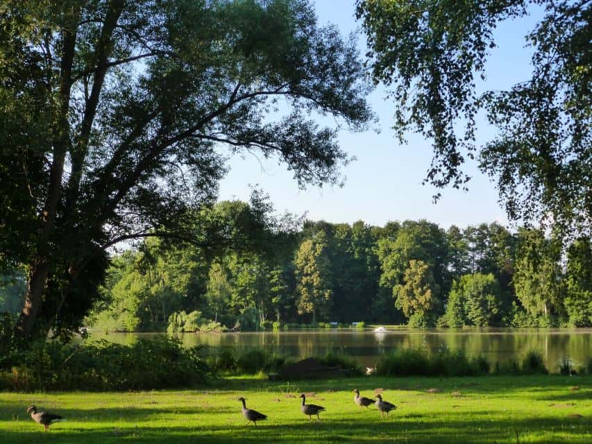 Kurpark Bad König