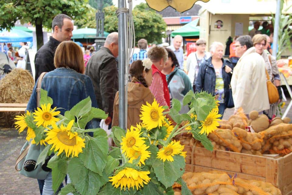 Plakat: Odenwälder Kartoffelmarkt