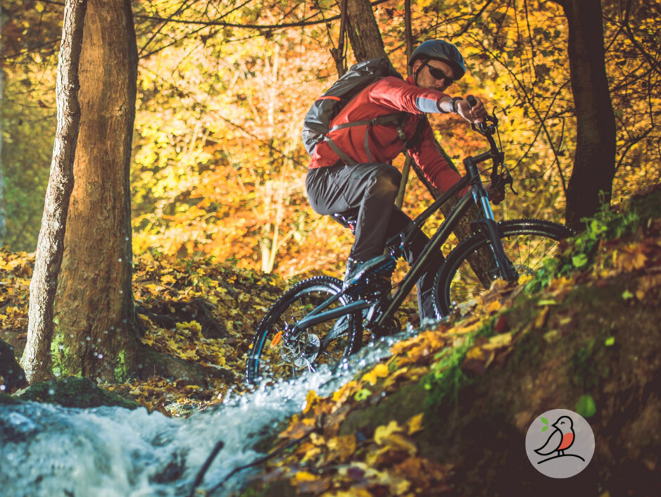 Plakat: Über die Mossauer Höhe zum Krähberg – Geführte E-Mountainbike-Tour
