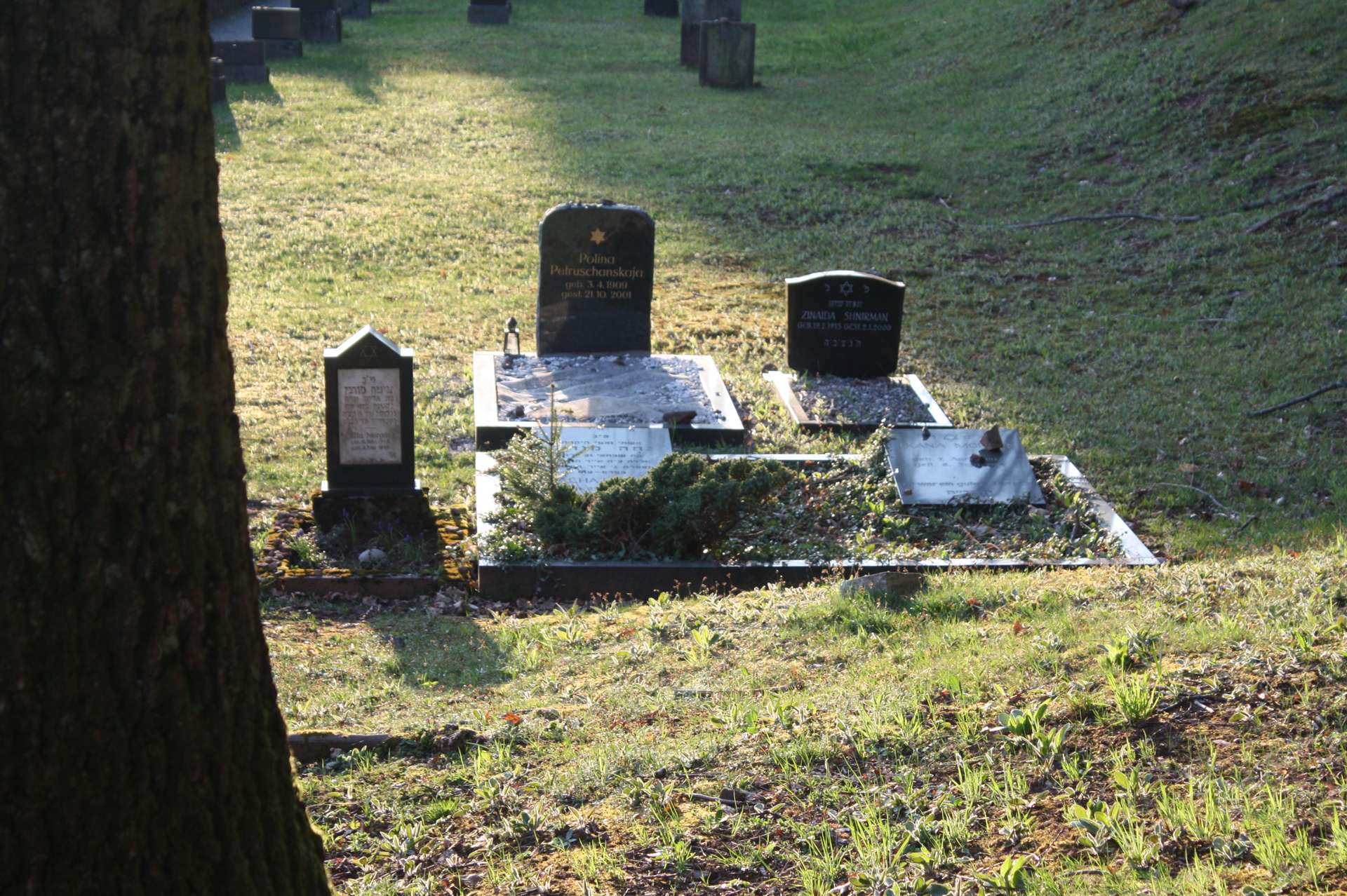 Plakat: Führung auf dem Jüdischen Friedhof Michelstadt