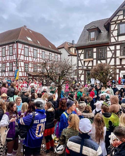Plakat: Fastnachtsumzug durch die Michelstädter Innenstadt