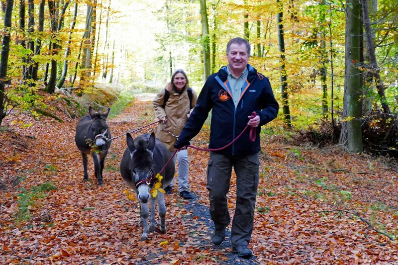 Plakat: Eselwanderung Odenwald