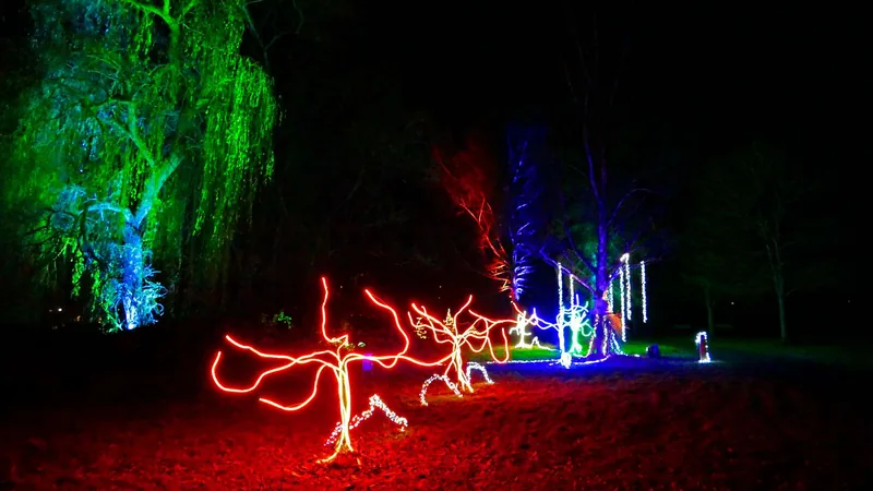 Plakat: Christmas Lights