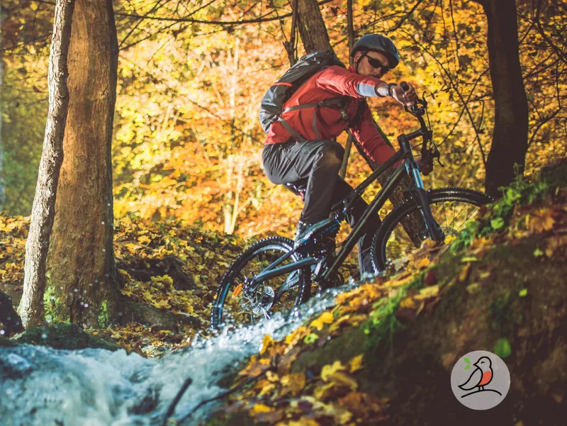 Plakat: Über die Mossauer Höhe zum Krähberg – Geführte E-Mountainbike-Tour