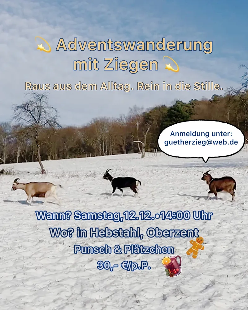 Plakat: Adventswanderung mit Ziegen